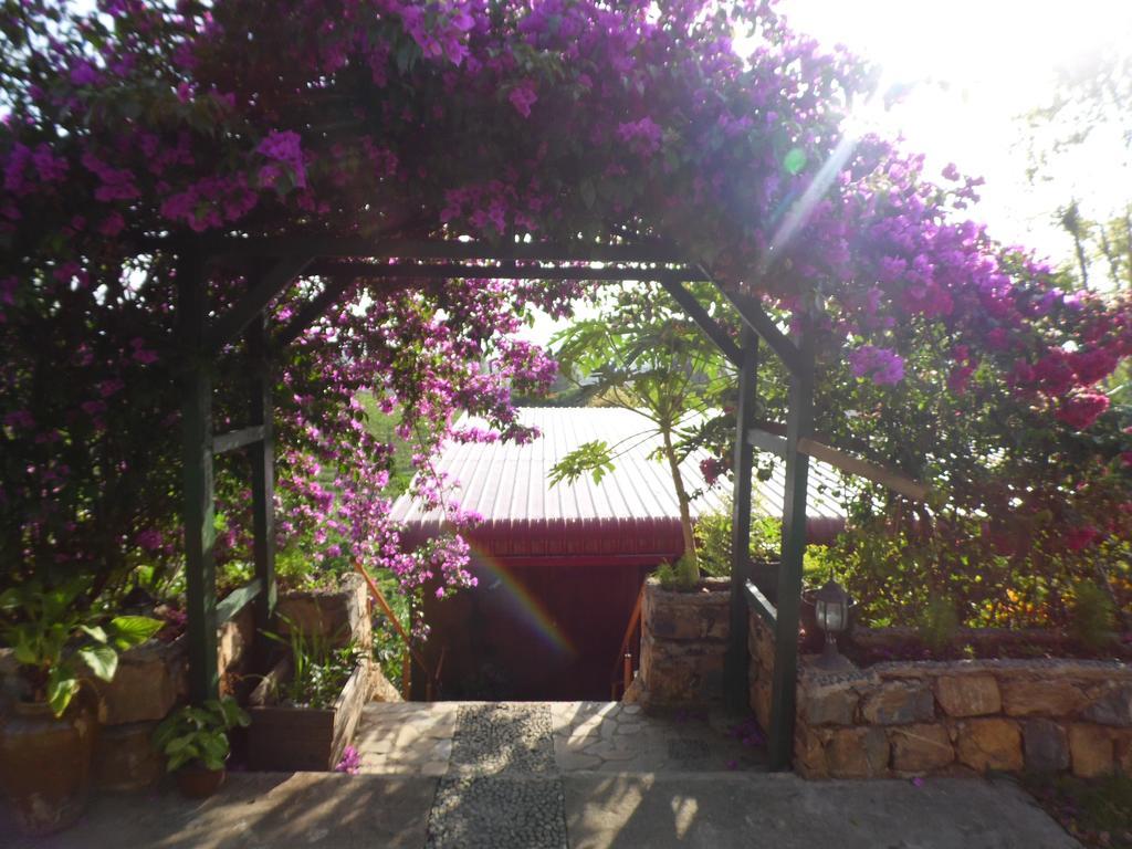 Aythaya Monte Divino Lodge Taunggyi Buitenkant foto